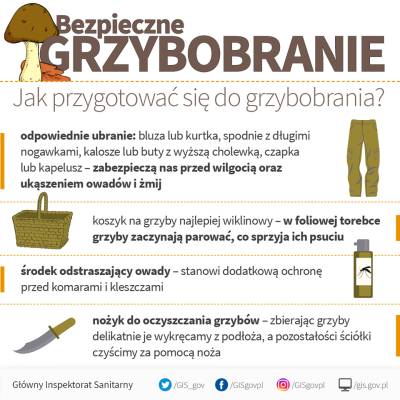 Bezpieczne grzybobranie