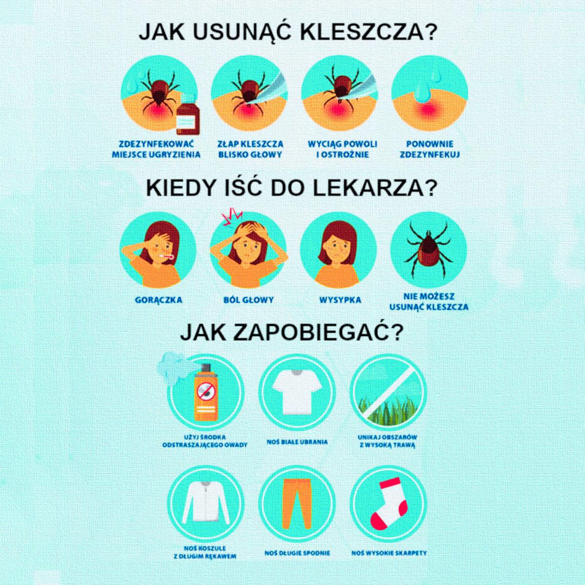 kleszcz